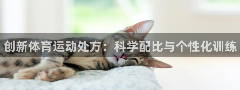 创新体育运动处方：科学配比与个性化训练
