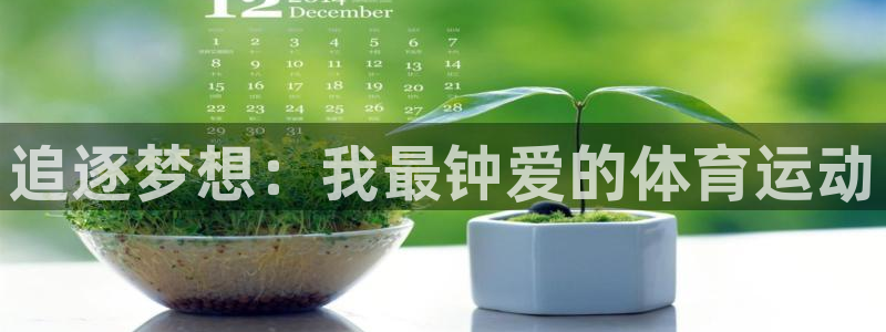 追逐梦想：我最钟爱的体育运动