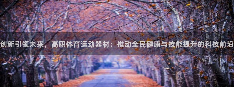 创新引领未来，高职体育运动器材：推动全民健康与技能提升的科技前沿