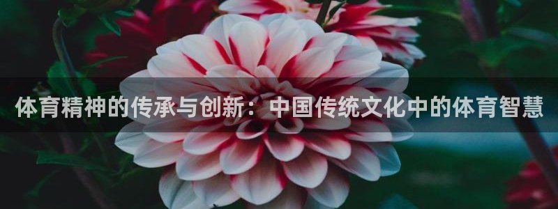体育精神的传承与创新：中国传统文化中的体育智慧