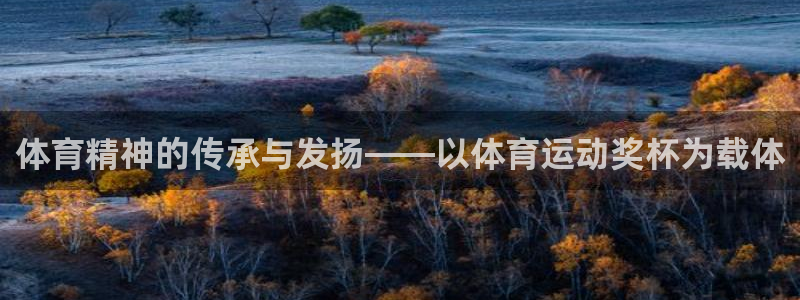 体育精神的传承与发扬——以体育运动奖杯为载体