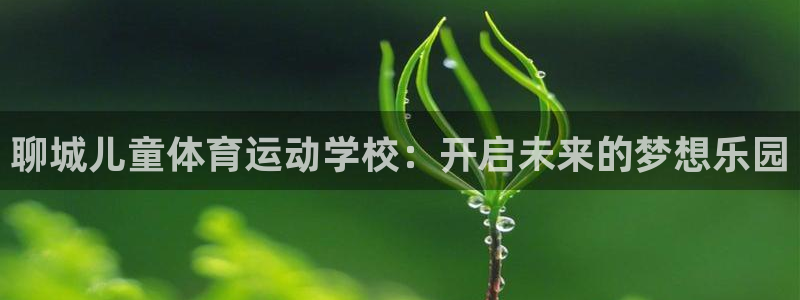 聊城儿童体育运动学校：开启未来的梦想乐园