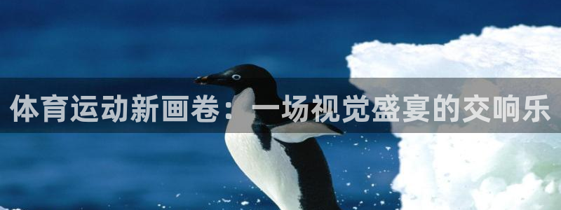 体育运动新画卷：一场视觉盛宴的交响乐