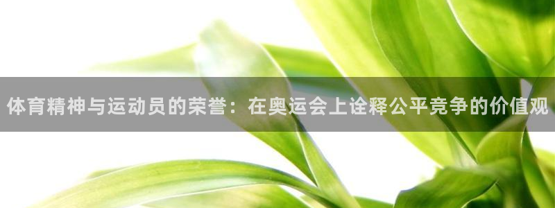 体育精神与运动员的荣誉：在奥运会上诠释公平竞争的价值观