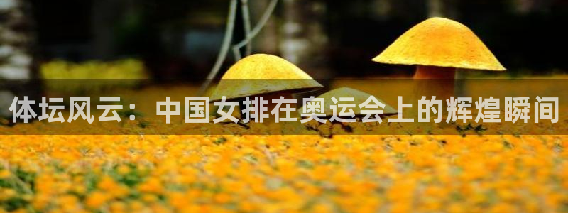 体坛风云：中国女排在奥运会上的辉煌瞬间