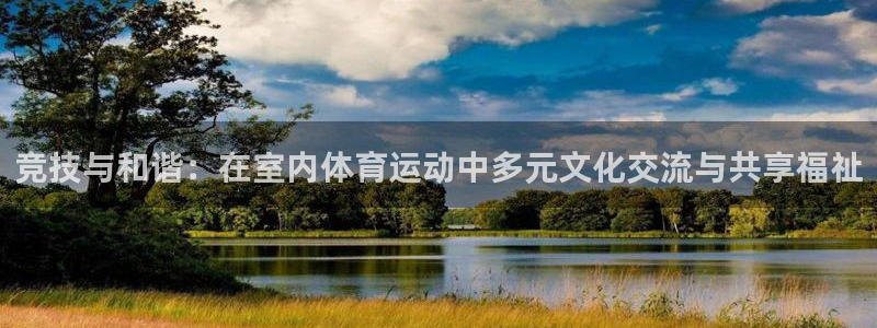 竞技与和谐：在室内体育运动中多元文化交流与共享福祉