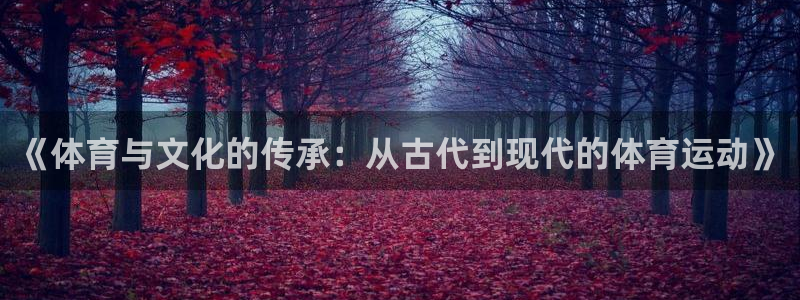 《体育与文化的传承：从古代到现代的体育运动》