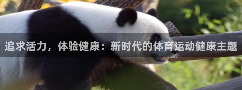 追求活力，体验健康：新时代的体育运动健康主题