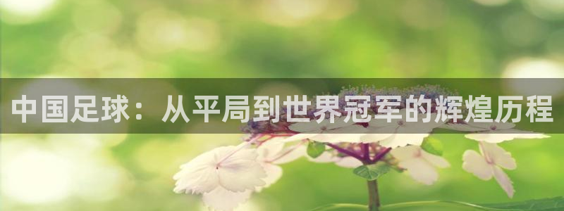 中国足球：从平局到世界冠军的辉煌历程