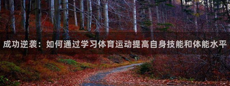 成功逆袭：如何通过学习体育运动提高自身技能和体能水平