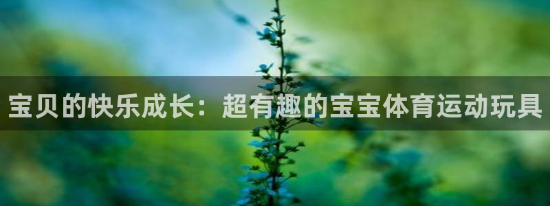宝贝的快乐成长：超有趣的宝宝体育运动玩具