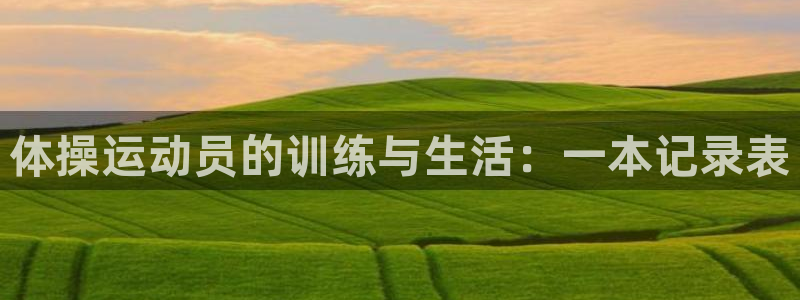 体操运动员的训练与生活：一本记录表