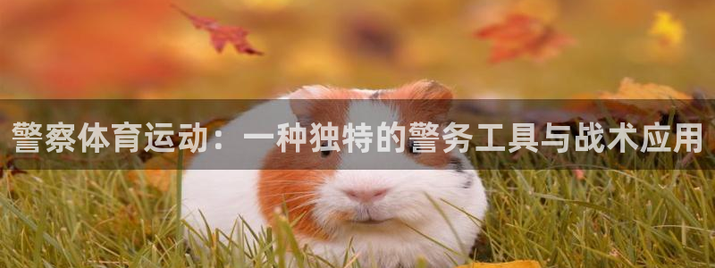 警察体育运动：一种独特的警务工具与战术应用