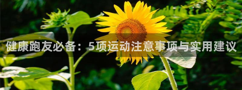健康跑友必备：5项运动注意事项与实用建议