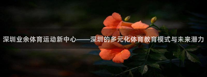 深圳业余体育运动新中心——深圳的多元化体育教育模式与未来潜力