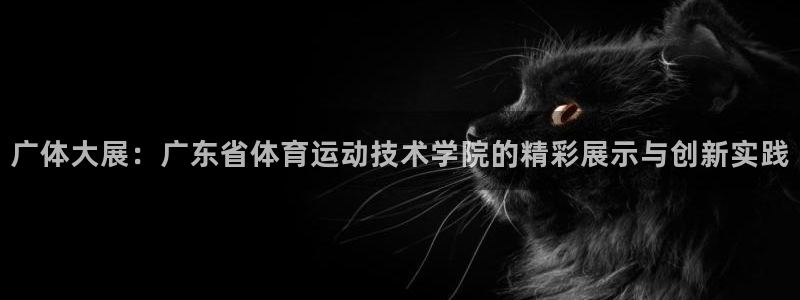 广体大展：广东省体育运动技术学院的精彩展示与创新实践