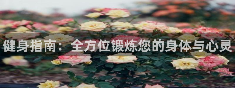健身指南：全方位锻炼您的身体与心灵