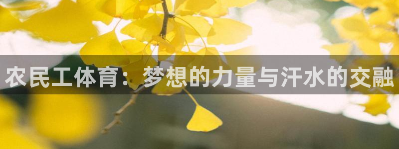 农民工体育：梦想的力量与汗水的交融