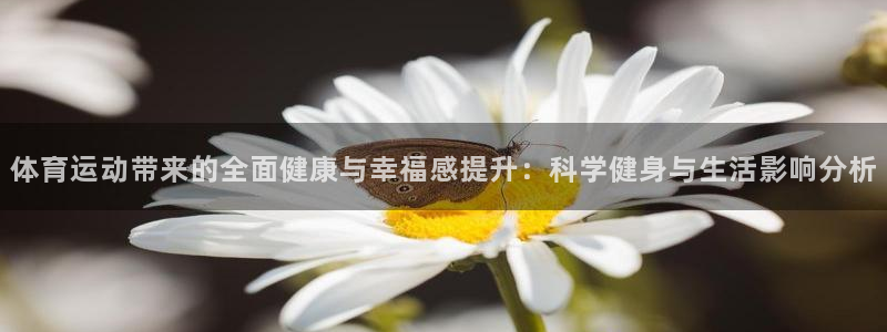 体育运动带来的全面健康与幸福感提升：科学健身与生活影响分析