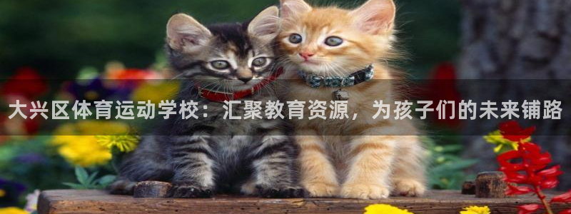 大兴区体育运动学校：汇聚教育资源，为孩子们的未来铺路